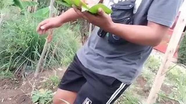 东南亚美食 #我的农村生活 #记录农村生活大山里的生活 #把家乡的味道分享给大家 #舌尖上的味道 #