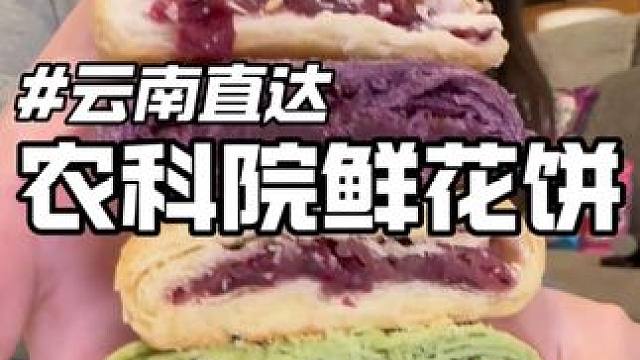 云南农科院技术支持，新鲜鲜花入馅 #鲜花饼云南特产 #鲜花饼#云南特产之鲜花饼 #一口下去超满足 #