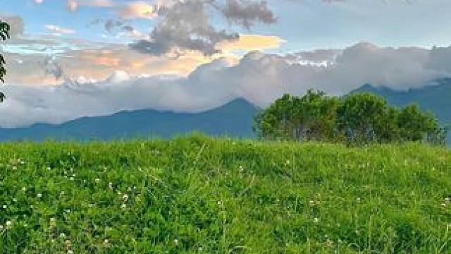 万万没想到，你爱吃的芒果干竟然是这样生产的！#芒果干