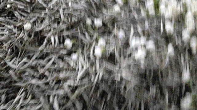 三更半夜还在上花