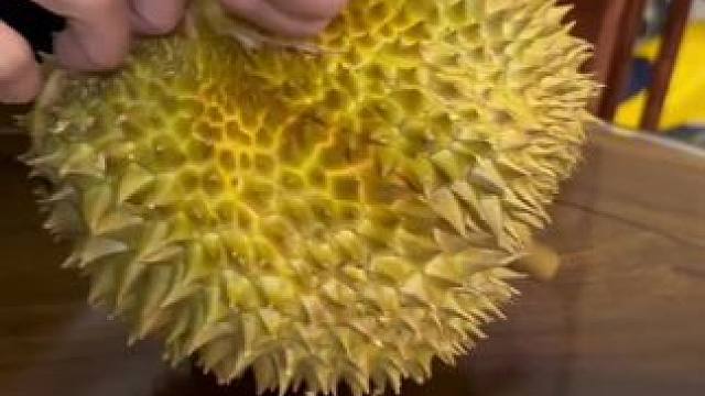 我发布了一个新视频，快来围观吧！