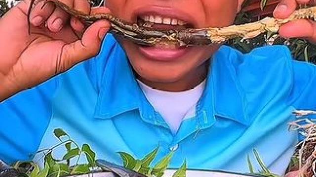 辣焖️大黄鳝 #美食 #户外美食 #泰国美食 #内容启发搜索