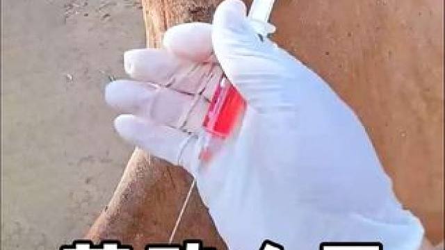 #劳动人民的智慧 #三农 #生活小妙招 #劳动人民最光荣 #高手在民间