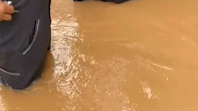 车辆被水泡了，保险怎么赔#汽车知识 #每天一个用车知识