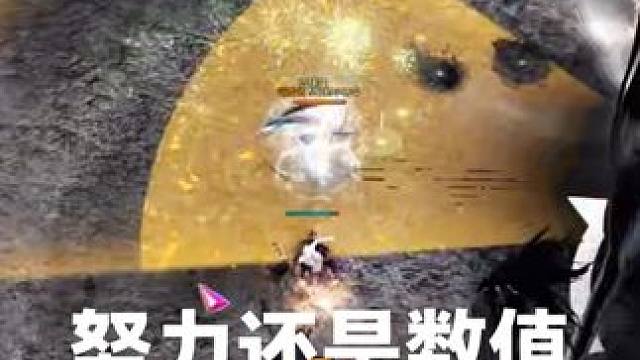 努力+汗水<选择 #命运方舟卡门 #命运方舟伞萝 #命运方舟幻兽师