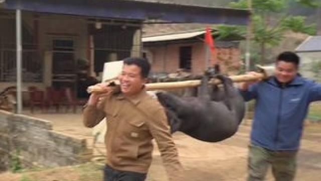 越南安叔来了一年多不更新了 #越南生活 #越南美食 #我的农村生活 #把家乡的味道分享给大家 #内容