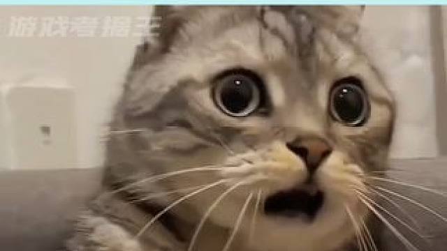 这狗是狗吧 #深度 #绘本