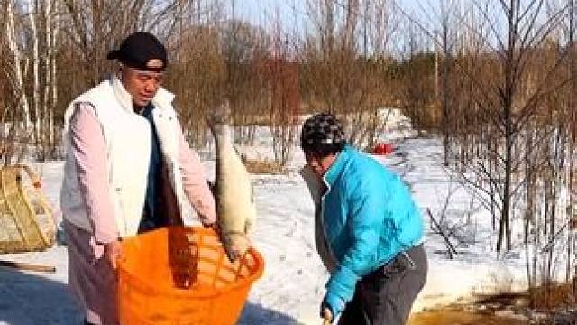 #户外捕鱼 #好大一条鱼