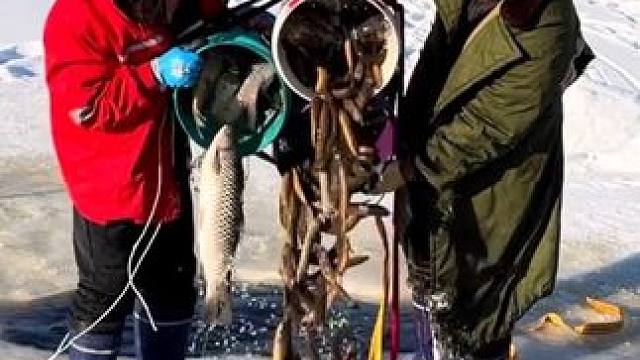 #户外捕鱼 #好多鱼