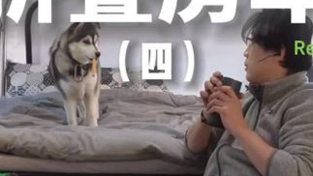 折叠房车（四）#露营 #助眠 #解压 #萌宠 #沉浸式