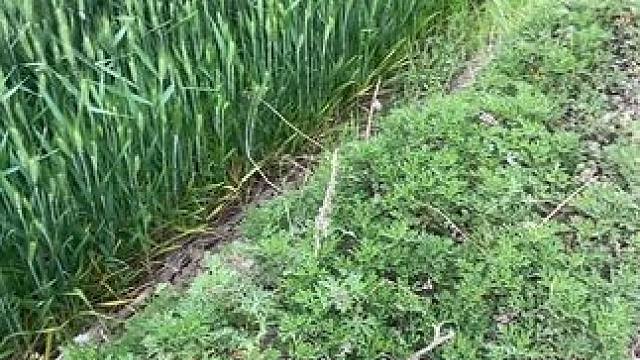 #大自然   享受片刻的宁静