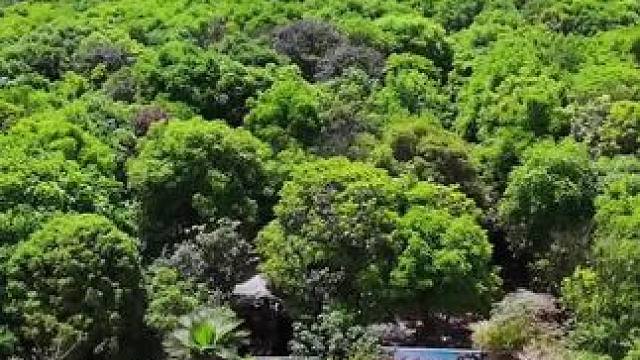 在彭山桂花溪林我体验了一整天的慢生活，藏在城市边缘的诗意栖居，需要带亲朋一起来放松#一起去春游 #春