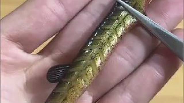 因为用泥鳅钓了太多鱼被举报了真的让人哭笑不得！#路亚 #路亚翘嘴 #路亚鳜鱼 #路亚假饵 #路亚野钓