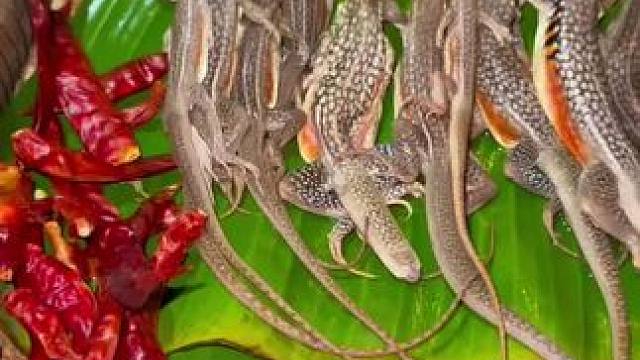 我发布了一个新视频，快来围观吧！