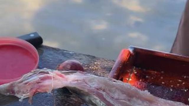 东南亚鱼生 #东南亚鱼生#内容启发搜索 #舌尖上的味道 #东南亚美食