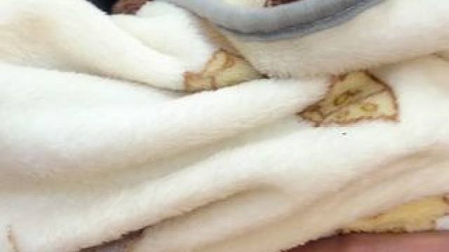 臭小子菜花~以后菜花再也不炒干锅了 拜拜啦菜花 去了汪星好好的 相信我们会再次相见的 谢谢你这一生都