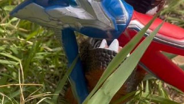 赛罗奥特曼遇到了危险快点救救他吧#奥特曼 #儿童玩具 #奥特曼玩具