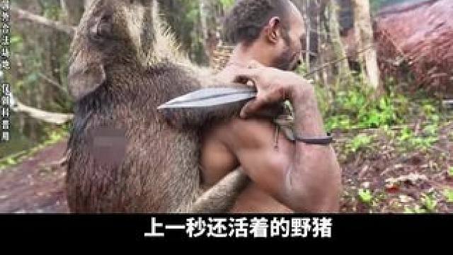 食人族真的吃人吗？ #瓜子二手车 #原始部落 #纪录片