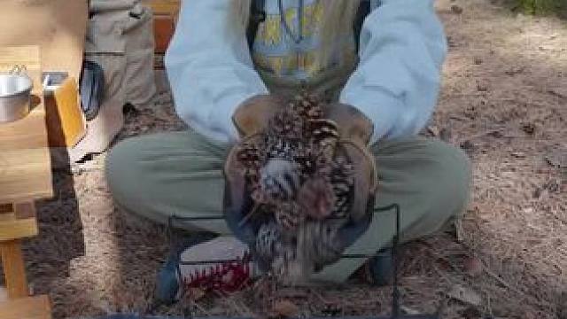 露营柴火盒饭 #露营报告