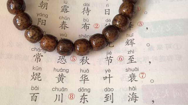 重生之新的方式学古诗