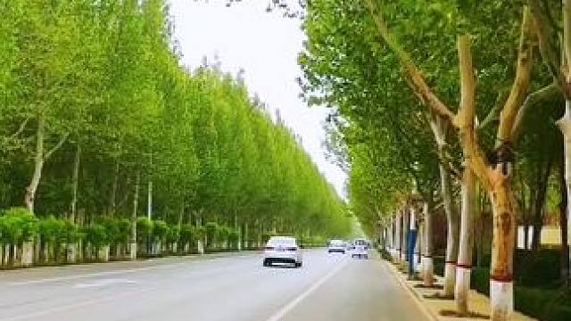 #最美的风景在路上