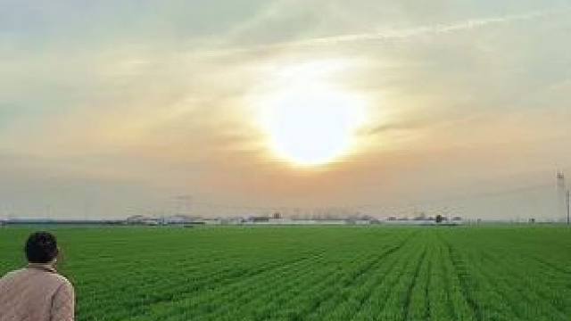 给老爸送饭
说住刚蒸里馍，老爸熊我咋又“酱豆子夹馍”也不拿瓶啤酒
是你说拿个馍都中，咋了又#家里就这