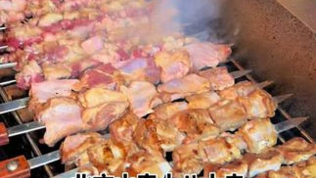 北方山奇院内第一家，十八大串#同城美食 #小成本创业 #宽甸烧烤