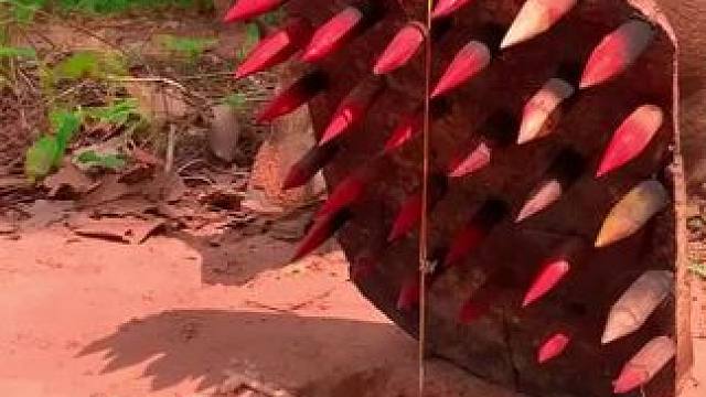 我发布了一个新视频，快来围观吧！