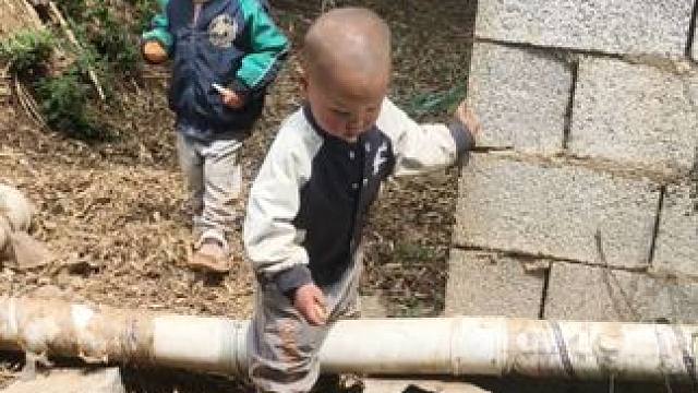 今天双双很乖，我弄包谷。#一分耕耘一分收获