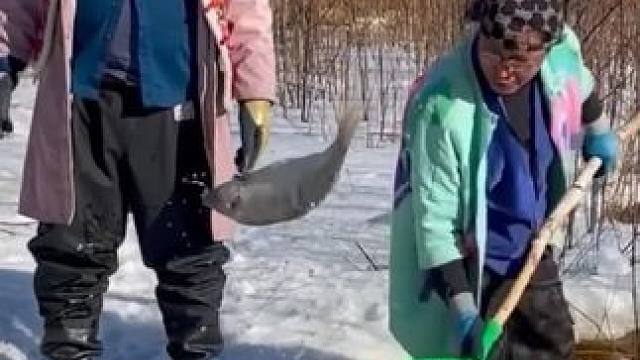 #户外捕鱼 #好多鱼