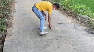 這是在干啥呢？2
