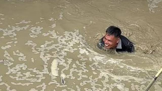 今天抽水抓鱼，三叔捉鱼太拼了#抽水捉鱼 #我的乡村生活