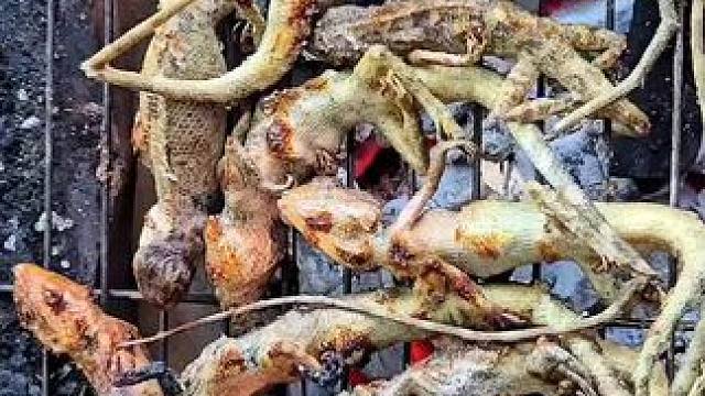 老挝特色美食炭烤变色龙 #我的乡村生活 #烧烤呀撸串呀 #吃货的世界唯有美食不可辜负 #农村美食记录