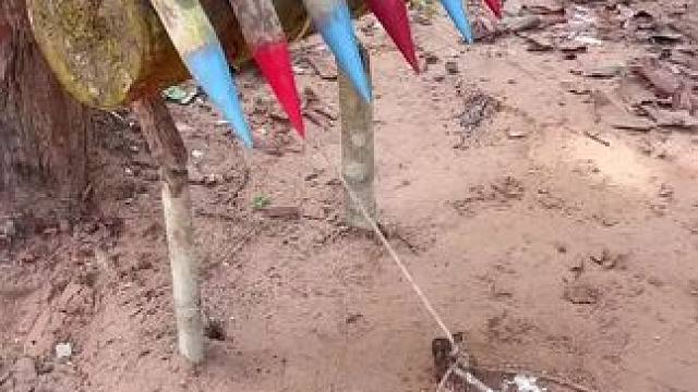 荒野猎人 #记录生活 #高温天气 #大山里的生活 #童年趣事 #非专业人士请勿模仿