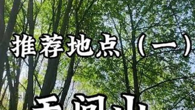 听说大家都在找，挖婆婆丁地点！！
好吧，他来了，抓紧收藏，速速出发！
导航搜索阿城天问山！找不到进主