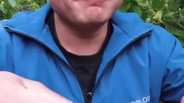 越南生活摘野果 #我的乡村生活 #优质农产品