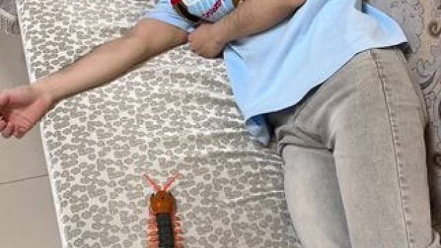 我发布了一个新视频，快来围观吧！