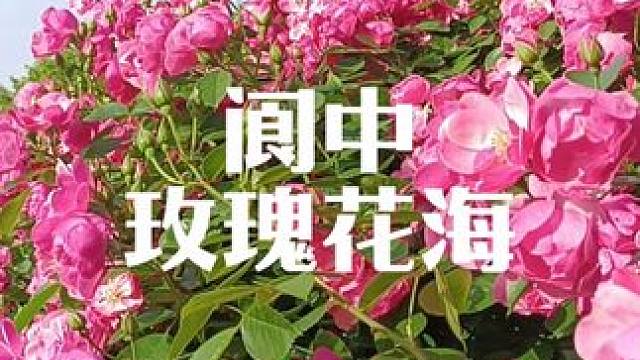 周末去哪玩？ #我在南方过春天
#踏春赏花
#安逸四川dou来耍
#周周出逃企划
#五一早鸟囤货攻略