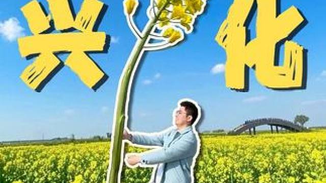 打工人周末充电站！坐乌篷船闯进宫崎骏的金色花海#水韵江苏有你更美#兴化#春游季#漂浮在水上的油菜花