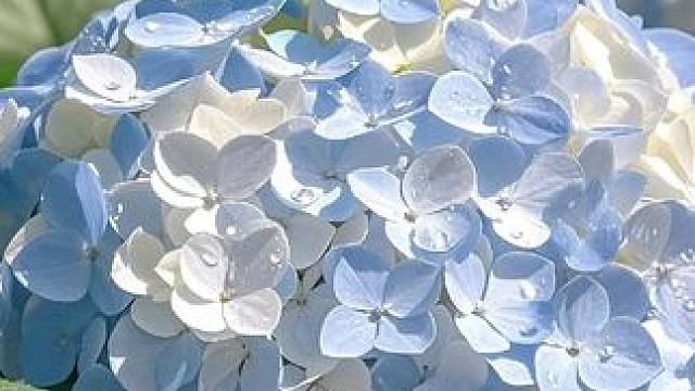 超适合夏天穿的清新显白小套装，关键品质我太好了，这个价完全闭眼入#高品质童装 #女儿就是用来打扮的