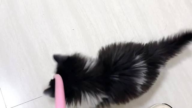 想破脑袋也想不明白这绳子为啥拽不动