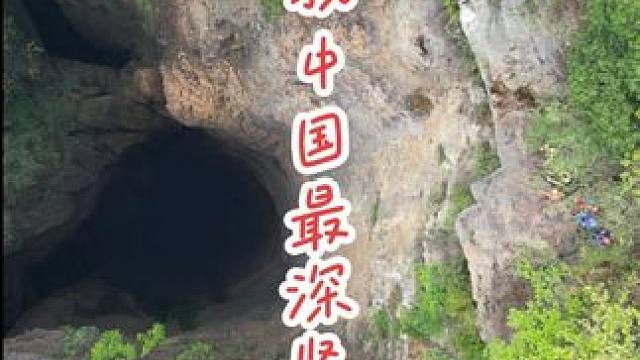 这个可不简单！有多深？#内容启发搜索 #现场实拍 #勇者菩提