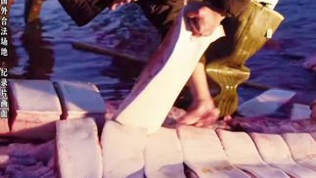 因纽特人如此吃鲸，竟是日常！ #纪录片 #因纽特人 #内容过于真实