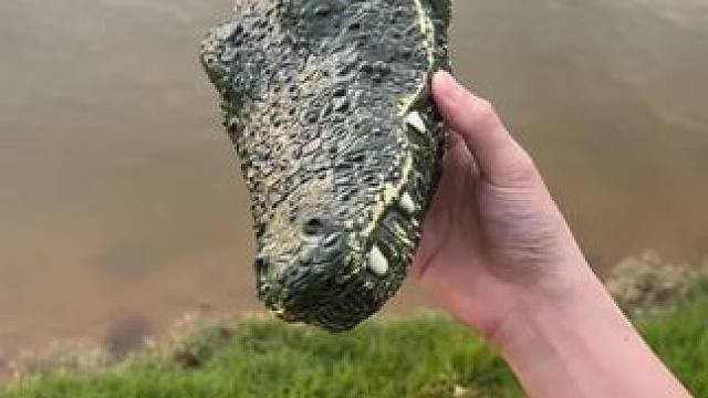 这不得把我朋友迷成制丈~ #玩个很新的东西  #遥控玩具