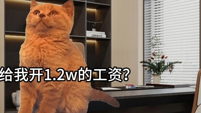 百信利达，全国代理记账