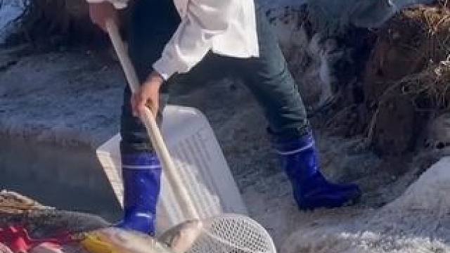 #冬捕 #户外抓鱼