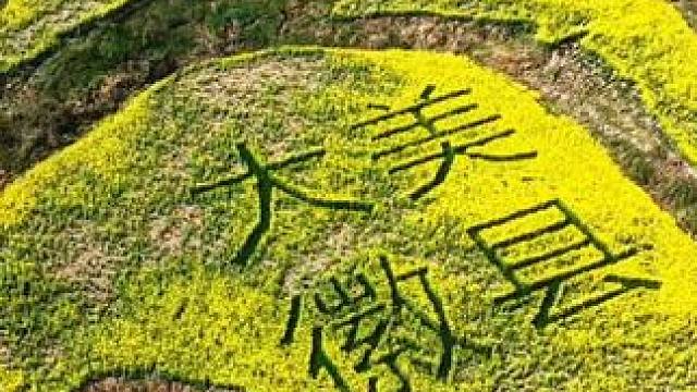 徽县文池随拍#我的乡村生活 #春色撩人我要出门 #路过的风景 #抖出我的家乡