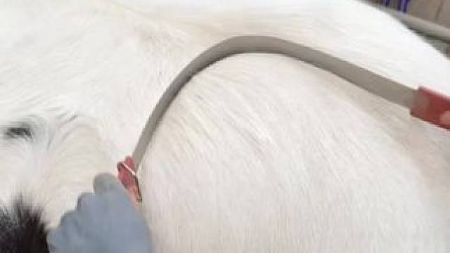 我发布了一个新视频，快来围观吧！