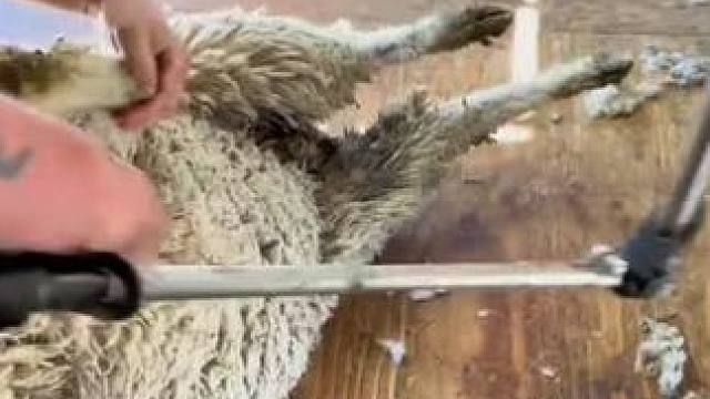 我发布了一个新视频，快来围观吧！