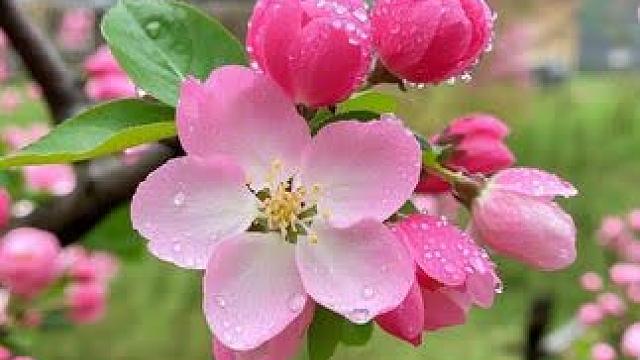 我发布了一个新视频，快来围观吧！